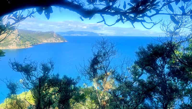 552 Blind Bay Road, Great Barrier Island