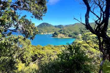 552 Blind Bay Road, Great Barrier Island