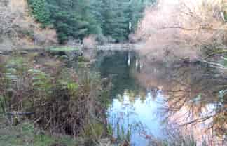 1500 Brydone Glencoe Road, Pebbly Hill