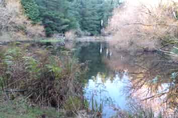 1500 Brydone Glencoe Road, Pebbly Hill