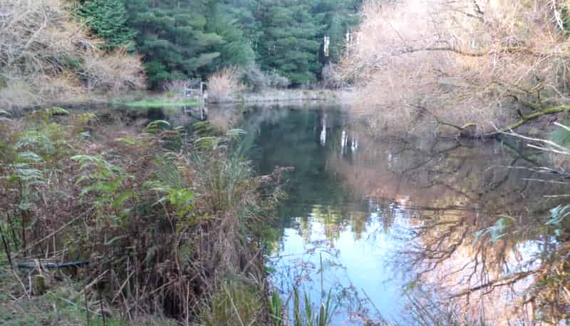 1500 Brydone Glencoe Road, Pebbly Hill