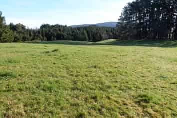 1500 Brydone Glencoe Road, Pebbly Hill