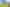 Auckland - Address withheld