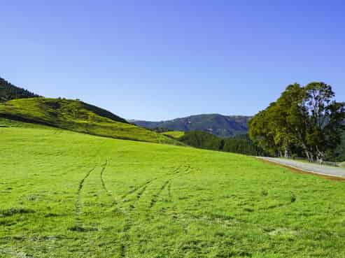 Lot 4, 151 Hill Road, Te Aroha