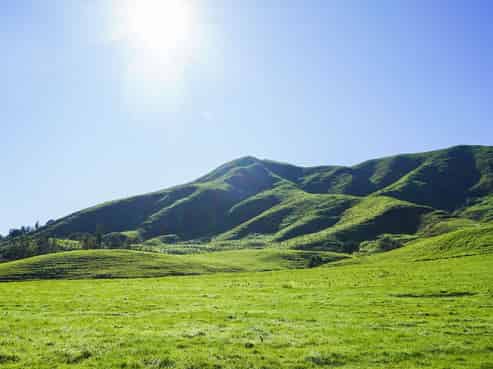 Lot 4, 151 Hill Road, Te Aroha