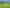 Lot 4, 151 Hill Road, Te Aroha