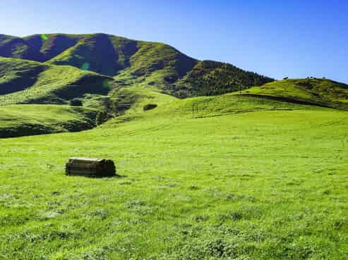 Lot 4, 151 Hill Road, Te Aroha