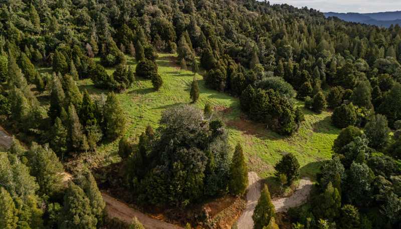 Lot 3, 2262 Waiare Road, Kaeo