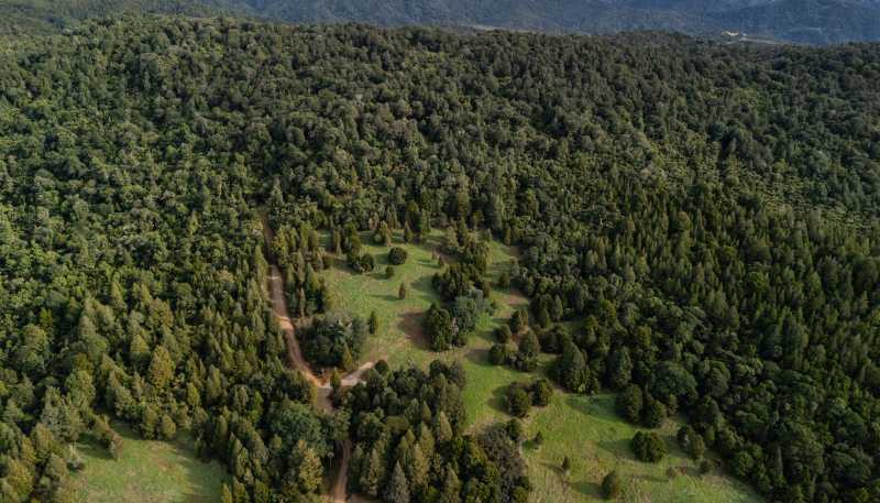 Lot 3, 2262 Waiare Road, Kaeo