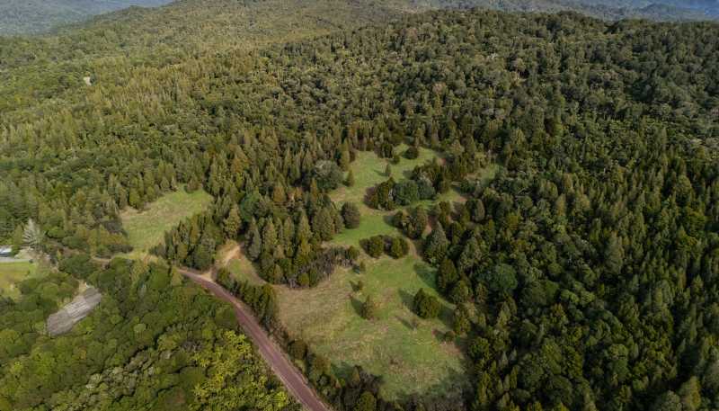 Lot 3, 2262 Waiare Road, Kaeo