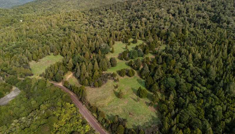Lot 1, 2262 Waiare Road, Kaeo