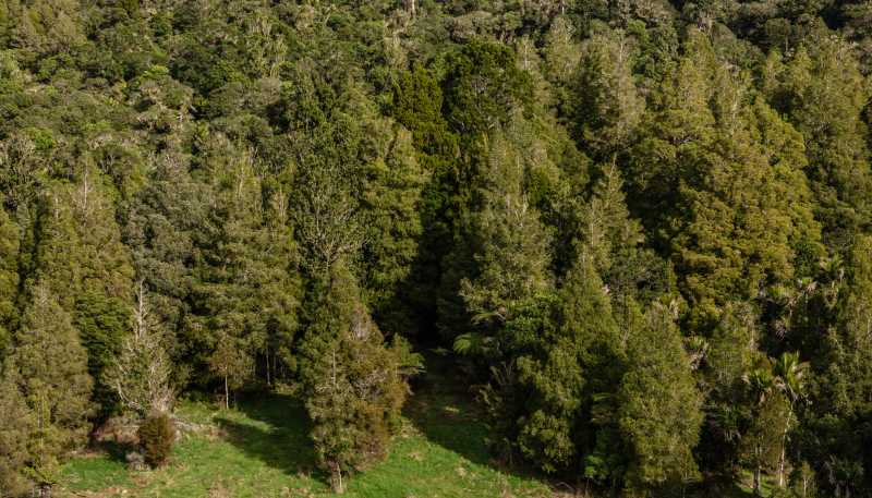 Lot 1, 2262 Waiare Road, Kaeo