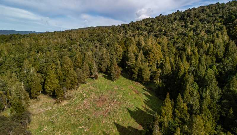 Lot 1, 2262 Waiare Road, Kaeo