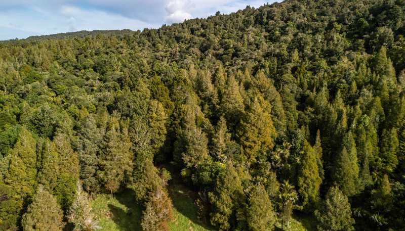 Lot 1, 2262 Waiare Road, Kaeo