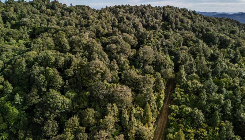 Lot 1, 2262 Waiare Road, Kaeo