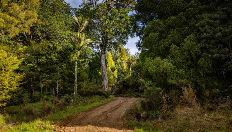 Lot 1, 2262 Waiare Road, Kaeo