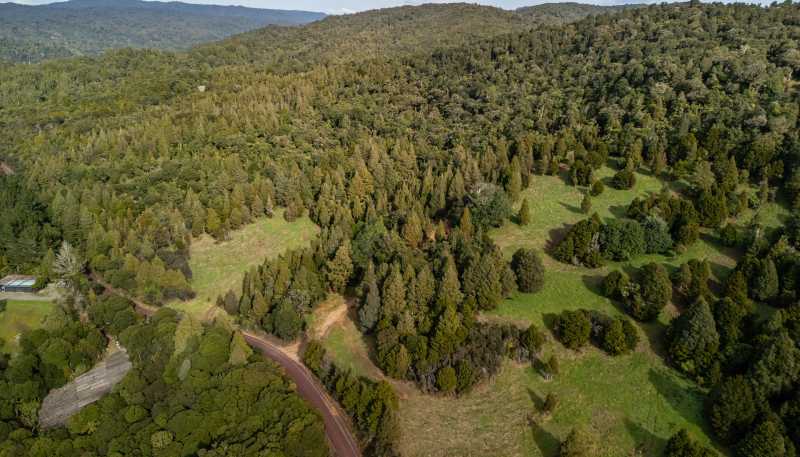 Lot 1, 2262 Waiare Road, Kaeo