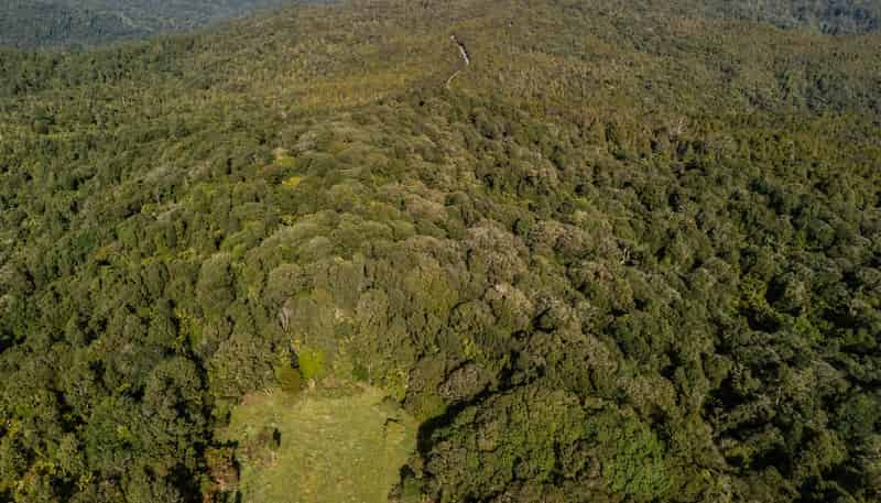 Lot 2, 2262 Waiare Road, Kaeo