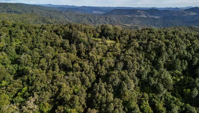 Lot 2, 2262 Waiare Road, Kaeo