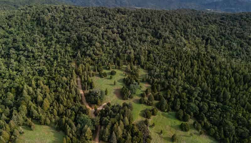 Lot 2, 2262 Waiare Road, Kaeo