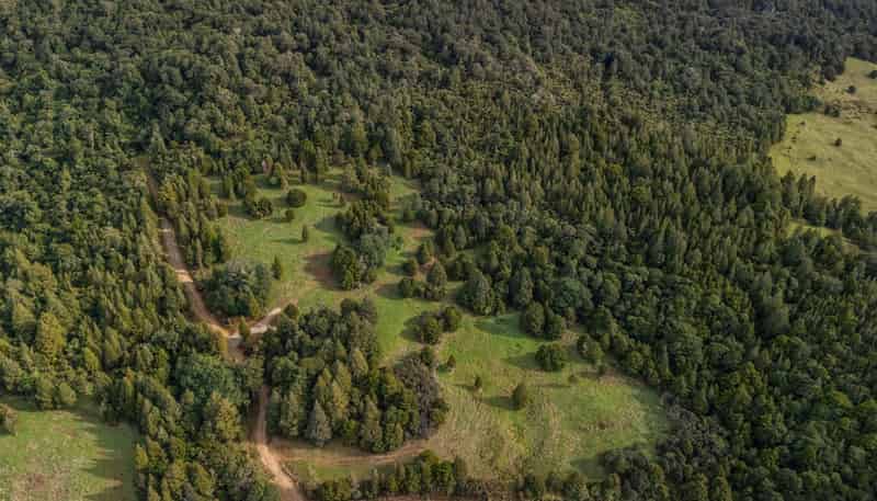 Lot 2, 2262 Waiare Road, Kaeo