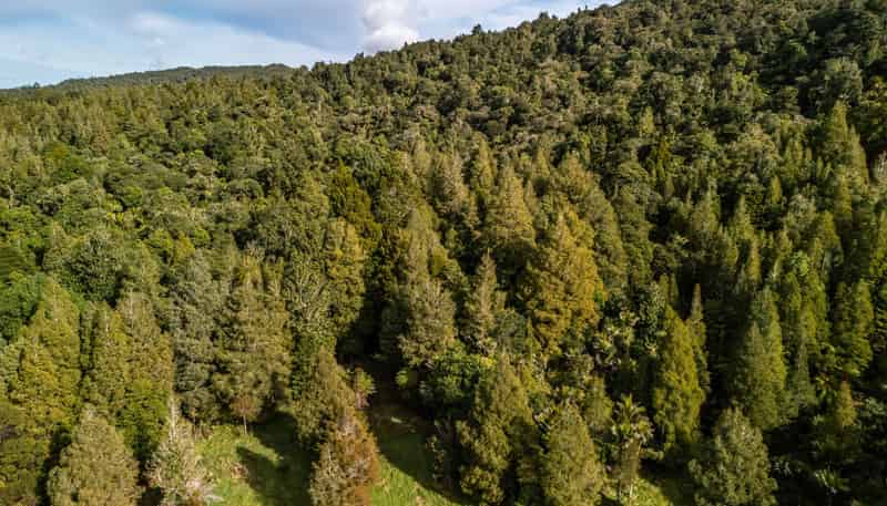 Lot 2, 2262 Waiare Road, Kaeo