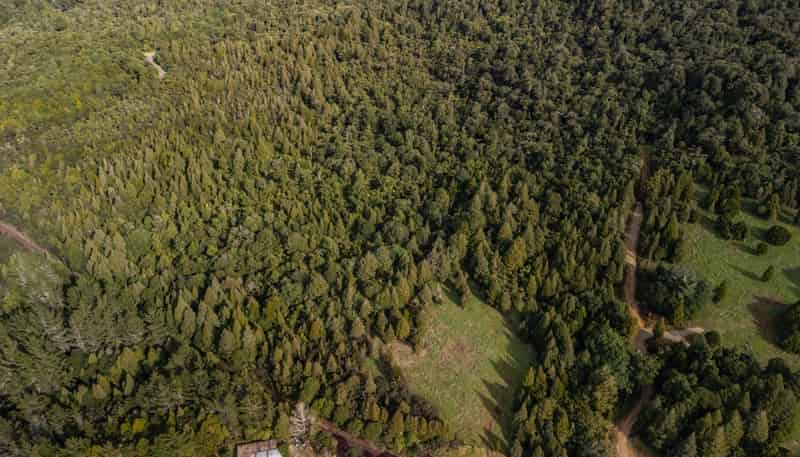 Lot 2, 2262 Waiare Road, Kaeo