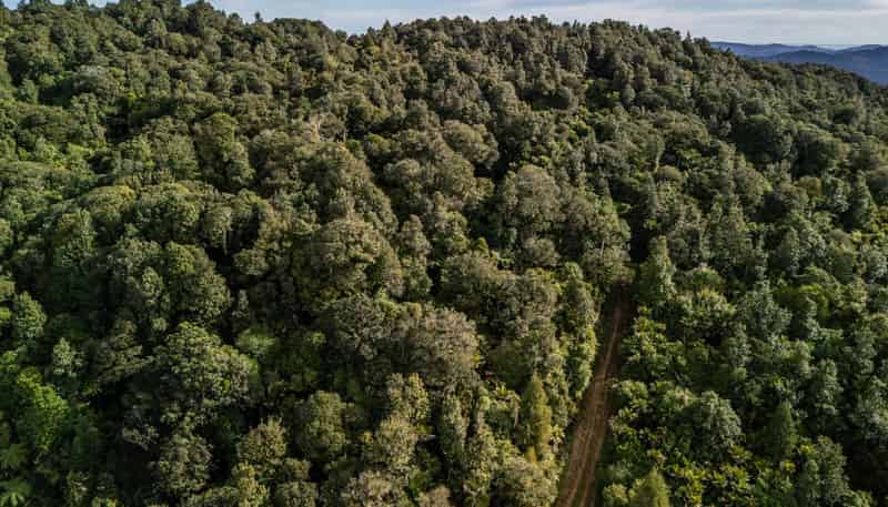 Lot 2, 2262 Waiare Road, Kaeo