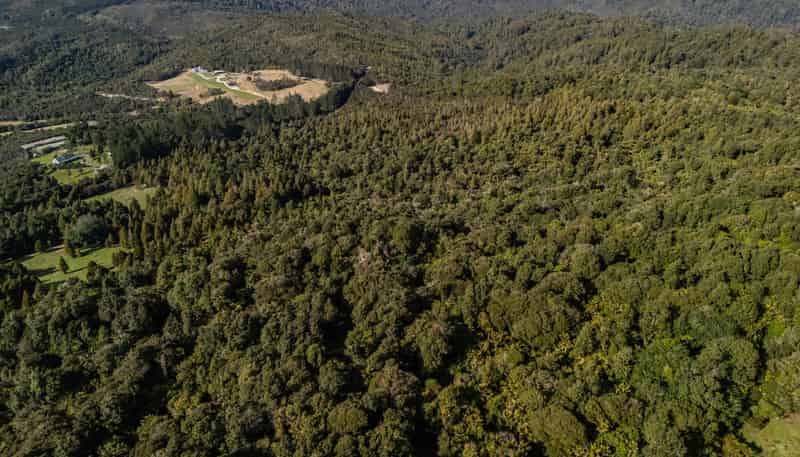 Lot 2, 2262 Waiare Road, Kaeo