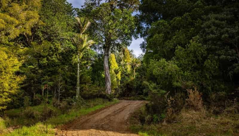 Lot 2, 2262 Waiare Road, Kaeo