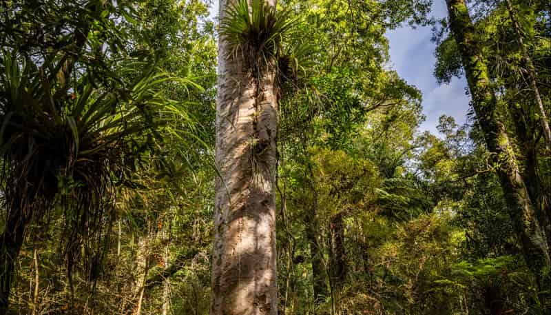 Lot 2, 2262 Waiare Road, Kaeo