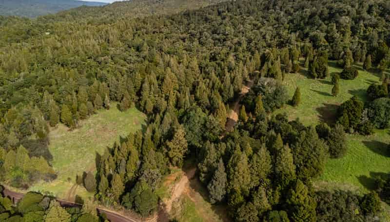Lot 2, 2262 Waiare Road, Kaeo
