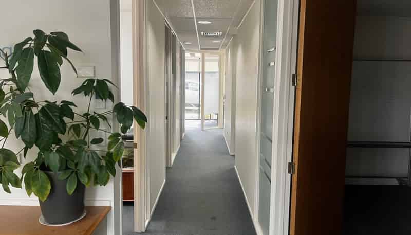Ground Floor, 150 Grantham Street, Hamilton Central