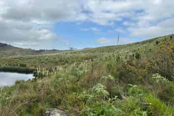 Lot 13/872 Bickerstaffe Road, Maungaturoto