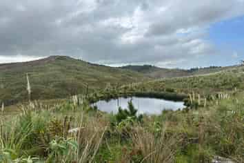 Lot 13/872 Bickerstaffe Road, Maungaturoto
