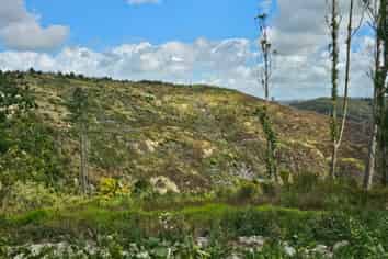Lot 13/872 Bickerstaffe Road, Maungaturoto