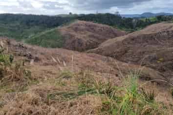 Lot 13/872 Bickerstaffe Road, Maungaturoto