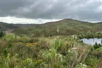 Lot 13/872 Bickerstaffe Road, Maungaturoto