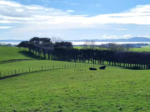 80 Wilson Road, South Head, Helensville