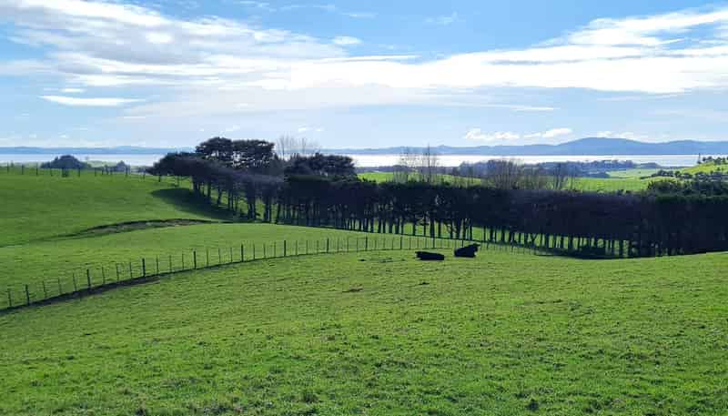 80 Wilson Road, South Head, Helensville