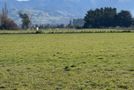 250 South Road, Solway, Masterton, Wairarapa