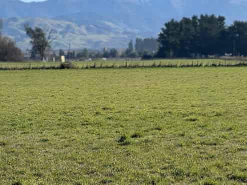 250 South Road, Masterton