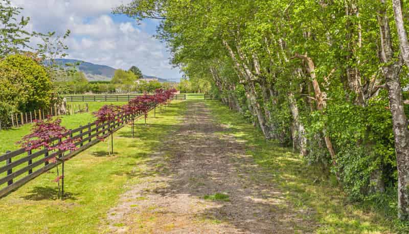 Lot 2 & 3,378 Tararua Road, Levin