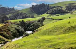 816 Upper Ohauiti Road, Tauranga South