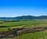 170 Whirinaki Road, Galatea, Whakatane, Bay of Plenty