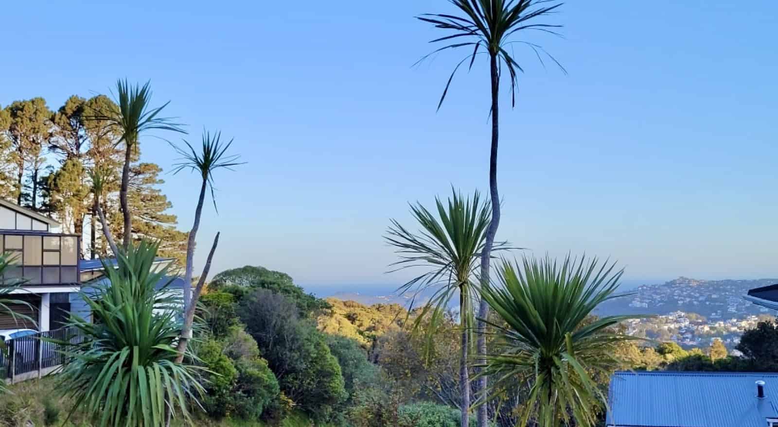 135 Orangi Kaupapa Road, Northland, Wellington City For Sale