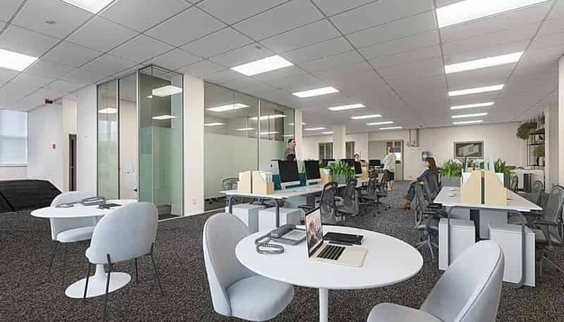  GF, 8 - 10 Dundonald Street, Eden Terrace