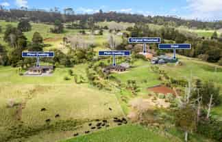 23 Tarrant Road, Helensville