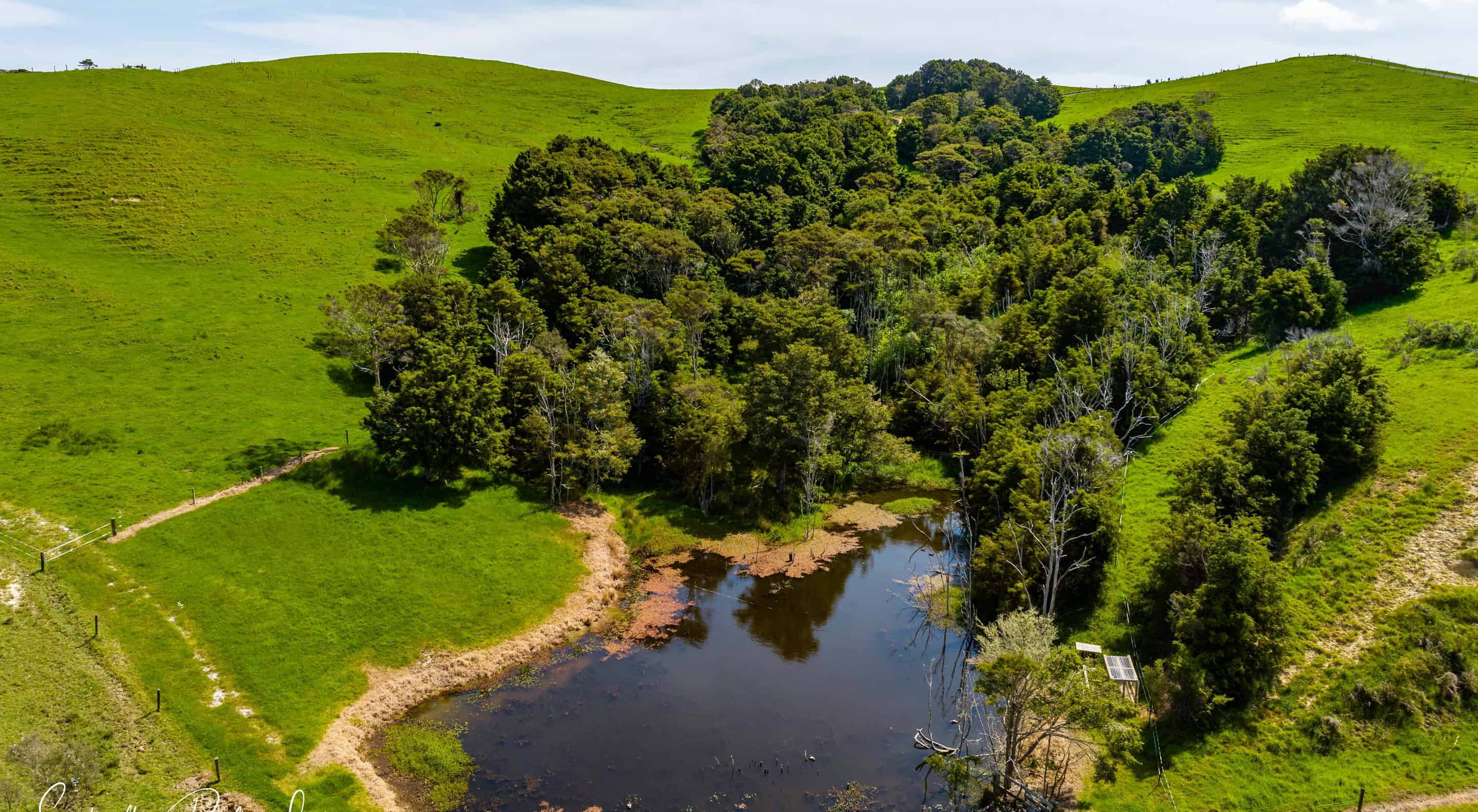 Oparakau Road, Matakohe, Kaipara For Sale realestate.co.nz