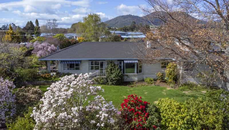 31 Kotare Street, Hilltop